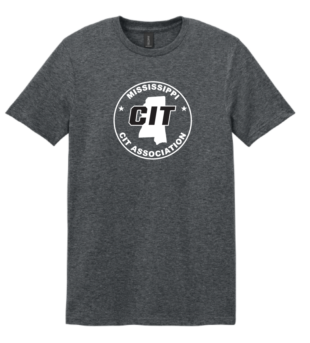MS CIT Grey Softstyle® T-Shirt
